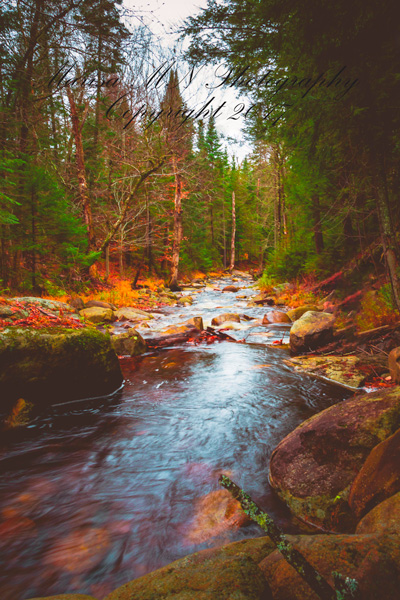Creek--fall-stream-printing-web