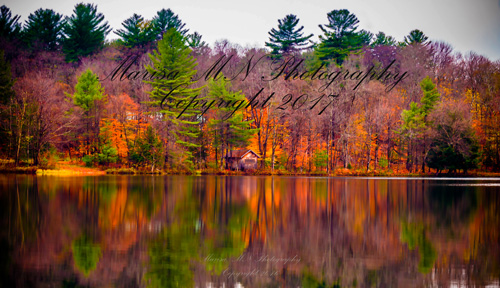 White-Lake-Painted-reflection-final-web